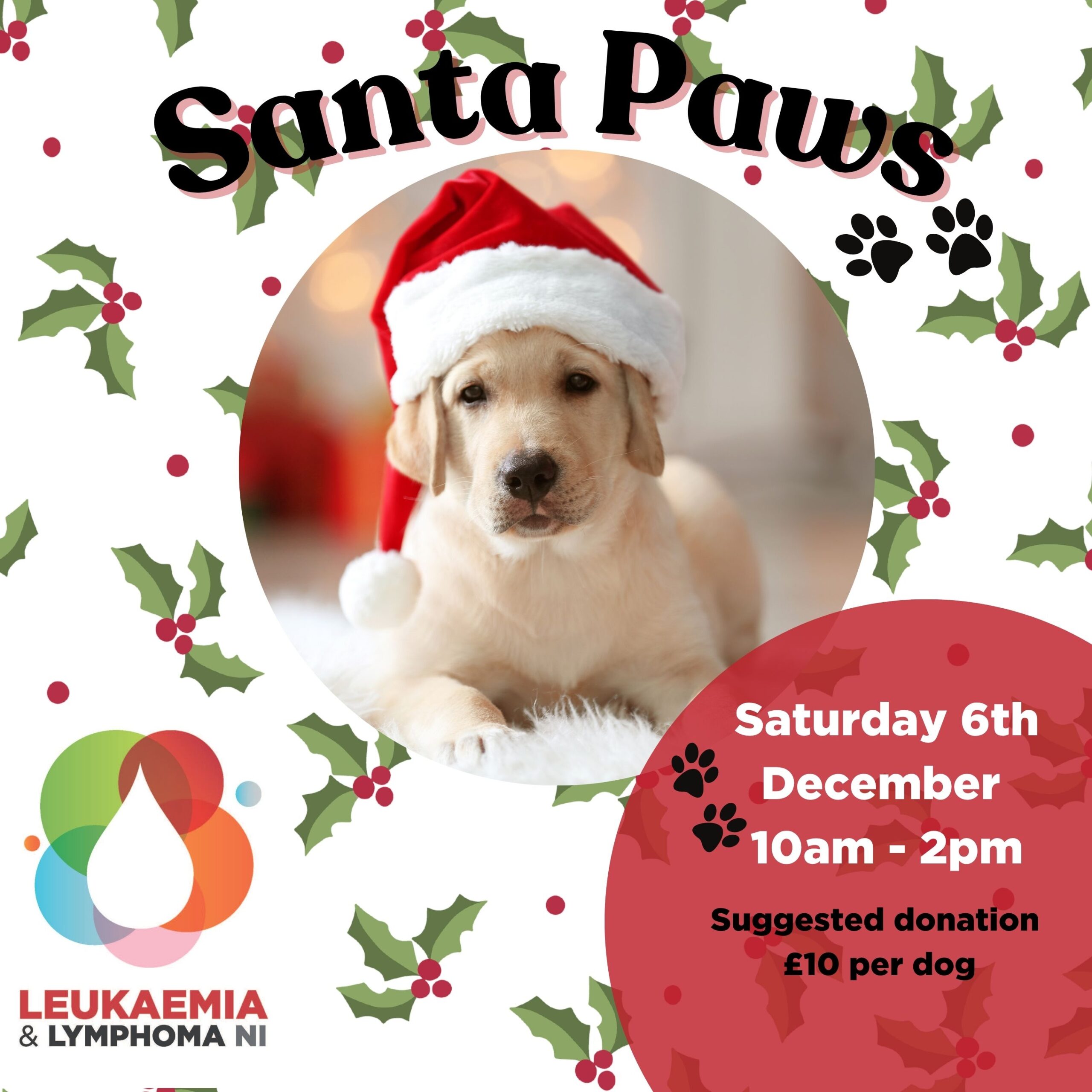 Featured Image for Santa Paws