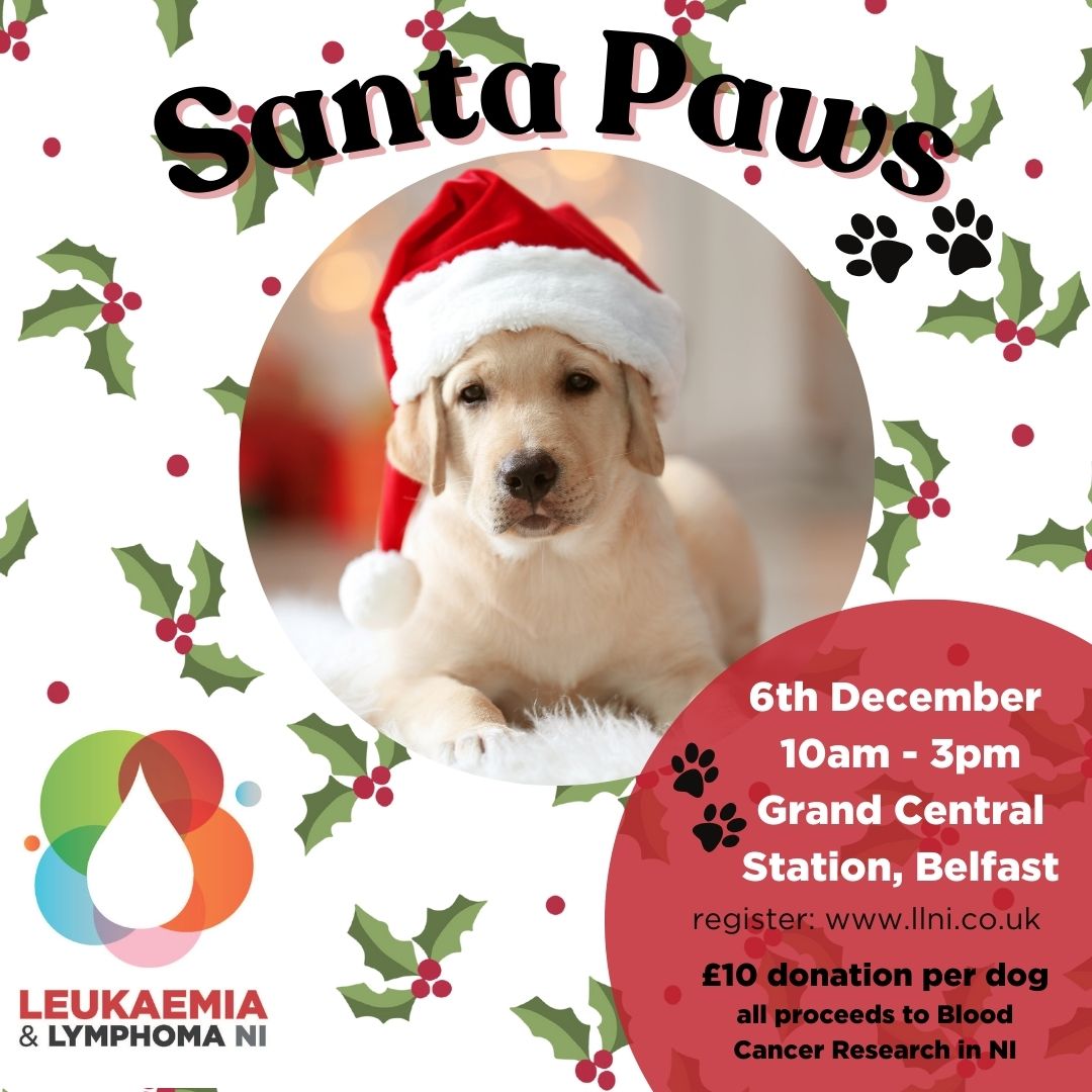 Featured Image for Santa Paws