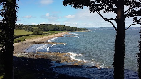 Featured Image for Crawfordsburn Country Park walk for Blood Cancer Awareness Month